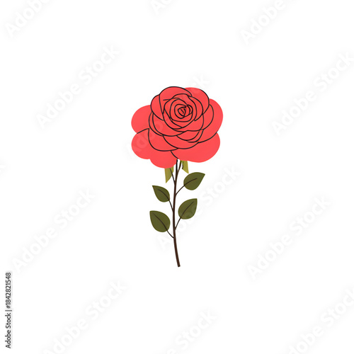 red rose isolated on white background