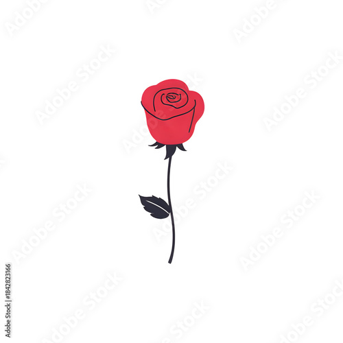 red rose isolated on white