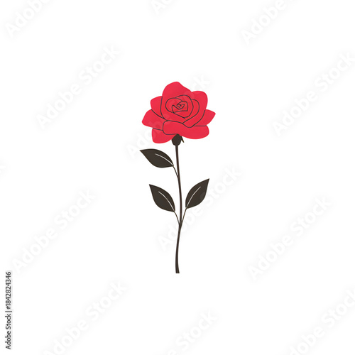 red rose isolated on white background