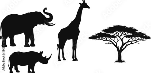 African savanna animal silhouettes, elephant giraffe rhino with acacia tree, wildlife vector icons, nature illustration, black graphic set