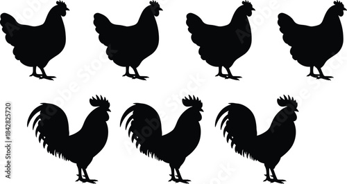 Chicken and rooster silhouette set, poultry farm animals, black vector icons, rural livestock illustration, farming design, isolated bird shapes