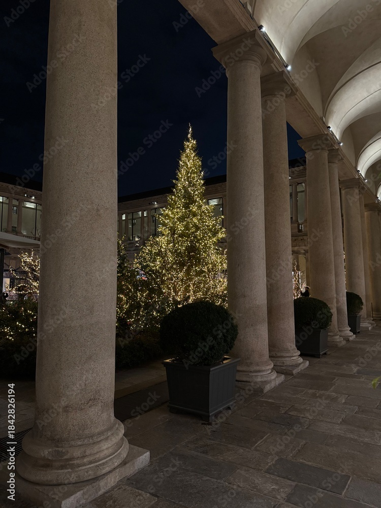 Fototapeta premium christmas tree at night