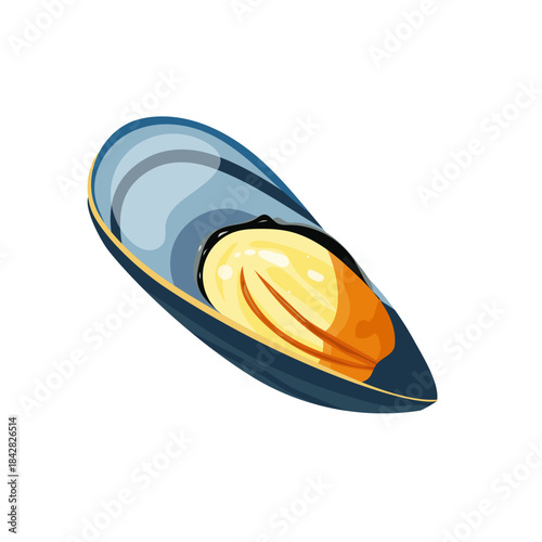 Mussels, seafood theme, shells, sea, hand drawn, clean vector illustration, isolated on white background, marine food, aesthetics. Vector