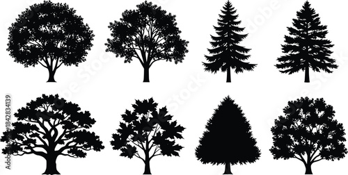 Tree silhouettes collection, diverse foliage shapes, botanical design elements, forest species outline, nature illustration, black and white tree icons set