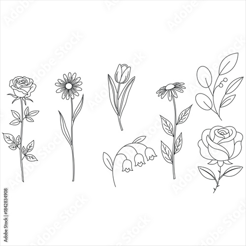 Minimalist floral line art set. Vector illustration of rose, daisy, tulip, lily of the valley and eucalyptus leaves. Botanical sketch style.