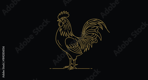 Elegant Golden Rooster Outline Illustration Minimalist Design Black Background