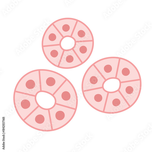 腺細胞のイラスト素材