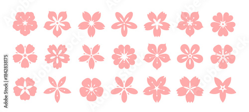 Sakura cherry flower with pink blossom, Japanese or Chinese floral icon for paint texture and spring decoration. Cute abstract flower silhouette and geometric logo graphic isolated vector elements
