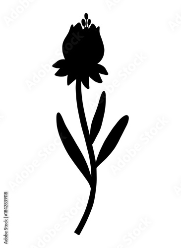 Closed wildflower bud, silhouette in black color. Blooming wild plant coreopsis, meadow flower shape. Botanical elements for design projects. Detailed floral vector illustration