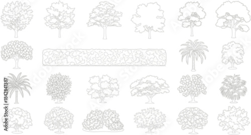 set of trees in lines in minimalist CAD. Set of sections of wetland forest outlines for landscape design drawing. Vector illustration in separate elements.