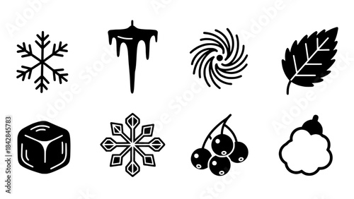 Modern graphic icons portraying winter elements, natural flora, and refreshing symbols in monochromatic style