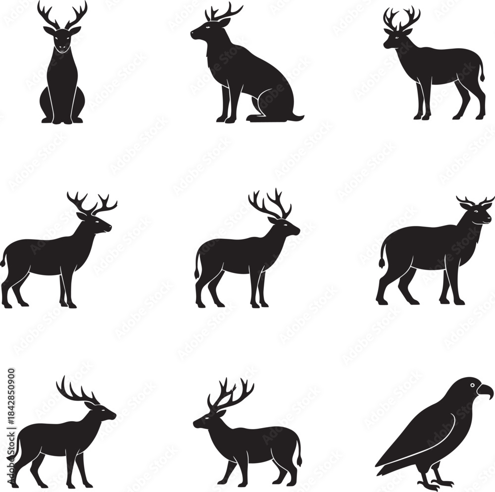 Fototapeta premium Wildlife animals in their natural habitat