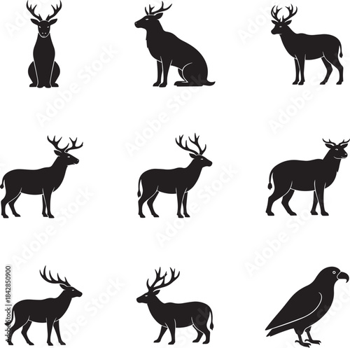 Wildlife animals in their natural habitat