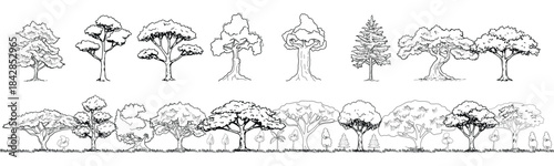 A set of hand-drawn tree illustrations and landscape border in clean black line art. Perfect for nature design, architecture, environment graphics, and minimalist sketches.
