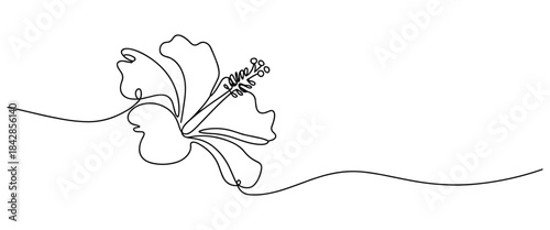 Continuous Line Hibiscus Flower Illustration Vector in Elegant Minimal Botanical Design