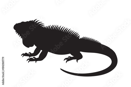 Exotic Tropical Iguana Lizard Reptile Silhouette