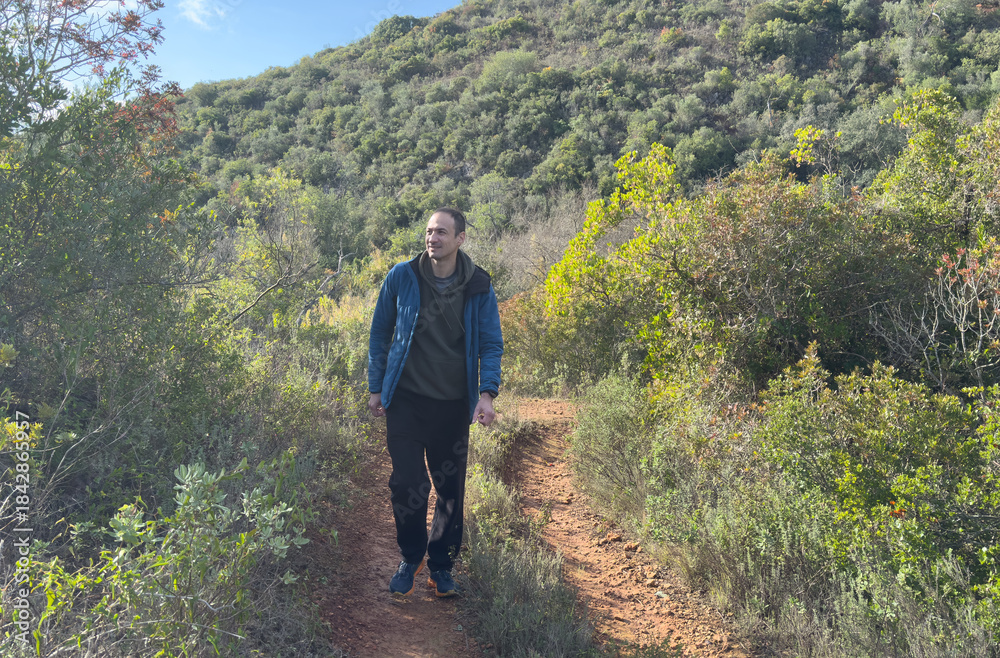Naklejka premium Rocky Trail in the Forest under the Sky