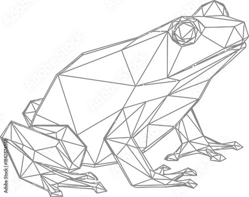 Geometric frog illustration in black and white on a clean white background
