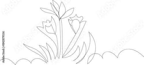 A minimalist line drawing of tulips and leaves growing in the ground
