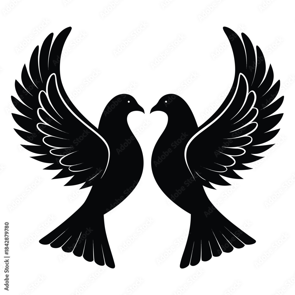 Obraz premium Two Black Pigeons with Wings Spread on White Background