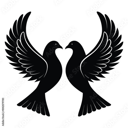Two Black Pigeons with Wings Spread on White Background