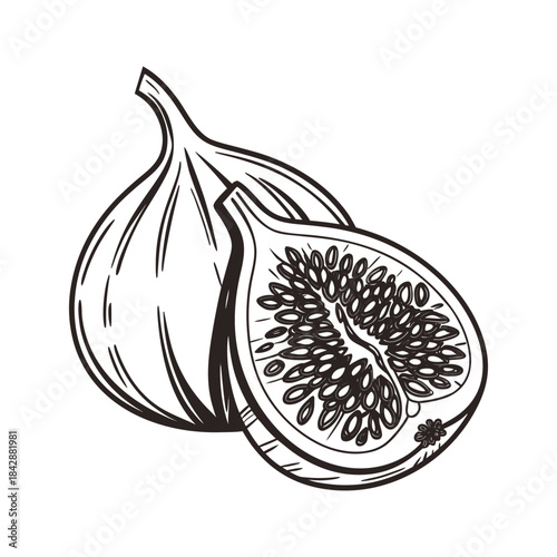 Black and white line drawing of a whole fig and a halved fig fruit whole fruit