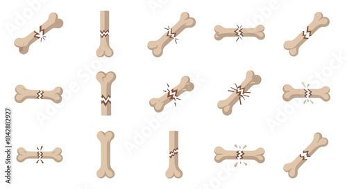 Collection of Dog Bone Treats with Festive Ribbons.