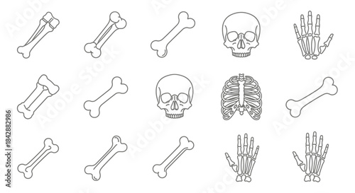 Collection of Skeleton Elements - Bones, Skulls, Ribcage, and Hands.