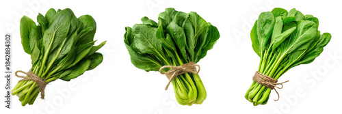 Set of A variety of leafy greens including lettuce, spinach, and kale, neatly arranged transparent png background. Ai generated