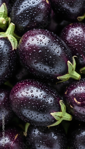Fresh purple eggplants with water drops for healthy cooking