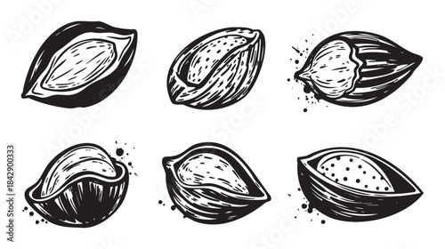 Hand drawn nuts and seeds illustration set showcasing various forms and textures, depicted with an artistic, rustic style and ink splatters.