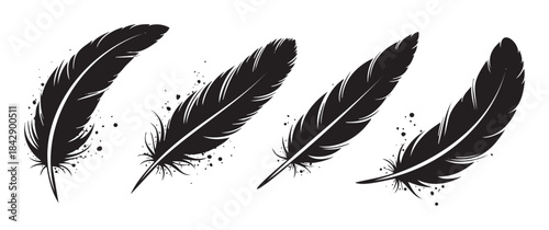Four black stylized decorative feathers with ink splatters arranged horizontally, creating an elegant and artistic graphic design element with a grunge texture.