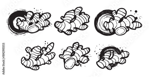 Ginger root illustrations in a stylized hand-drawn black and white ink art style featuring organic shapes and expressive brush strokes with subtle splatters.