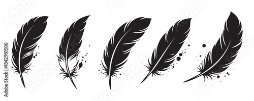 Five elegant black feathers with artistic ink splatters creating a beautiful decorative element, perfect for various design projects and creative concepts.