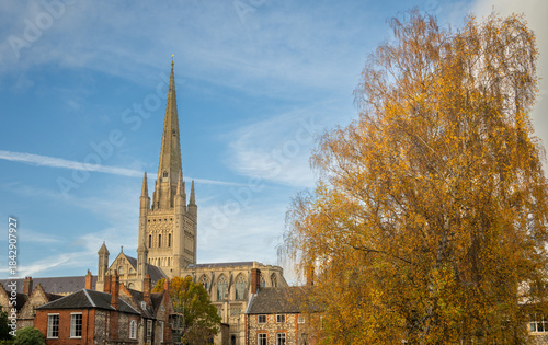 Norwich, Norfolk, UK:  Norwich Cathedral with spire seen from The Close to the southern side of the cathedral.