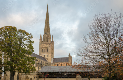 Norwich, Norfolk, UK:  Norwich Cathedral with spire seen from The Close to the western side of the cathedral.