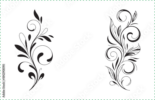 Collection of Hand-Drawn Flower, Rose, and Decorative Swirl Element Vectors