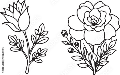 Set of Elegant Black and White Floral Outlines and Ornamental Designs