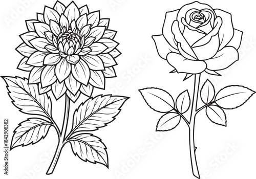 Decorative Vertical Flourish with Leaves and Vines Vector