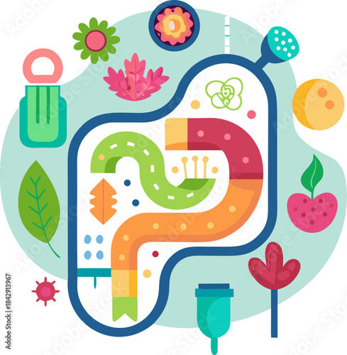 Flat vector illustration of a healthy, stylized digestive tract with beneficial bacteria symbols inside, abstract, white background.