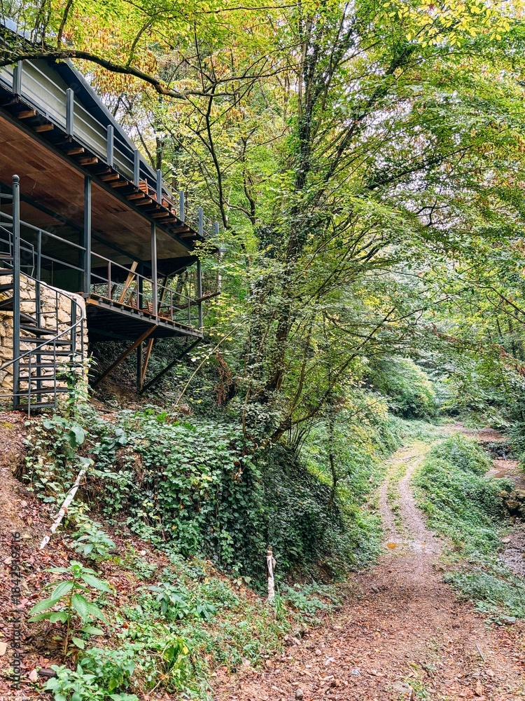 Fototapeta premium Modern Forest Cabin with Balcony Overlooking Dirt Path