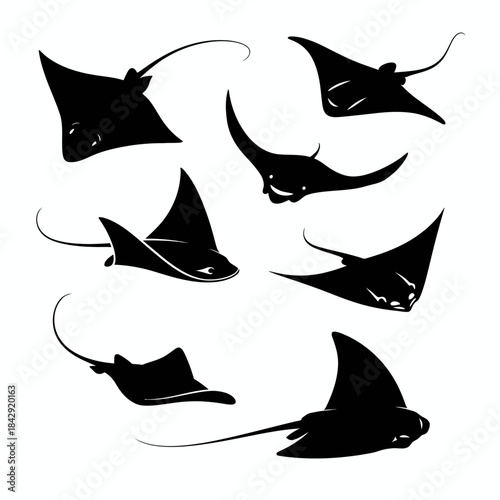 Stingray vector silhouette featuring smooth aquatic shape, elegant marine contours, minimal flat design style, and bold graphic form ideal for ocean-themed illustrations, logos, educational materials,