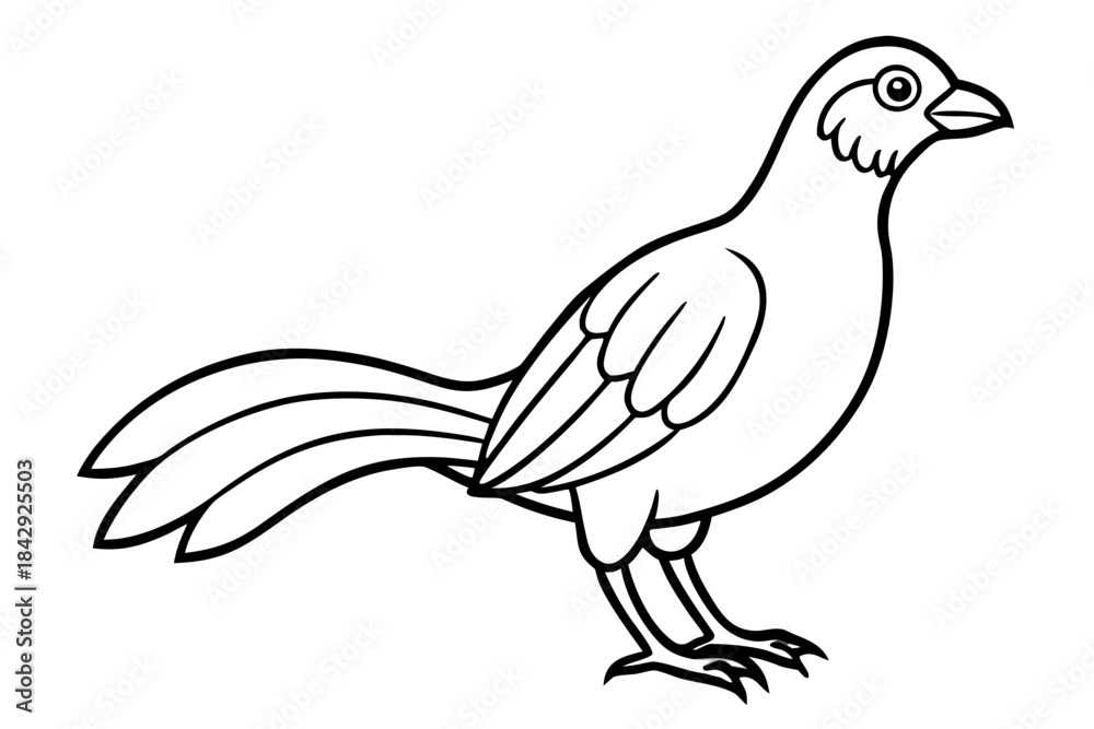 Obraz premium Aurelia bird line art white background 