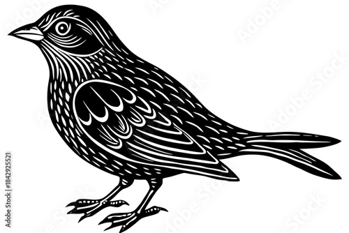 Aurelia bird linocut art white background 