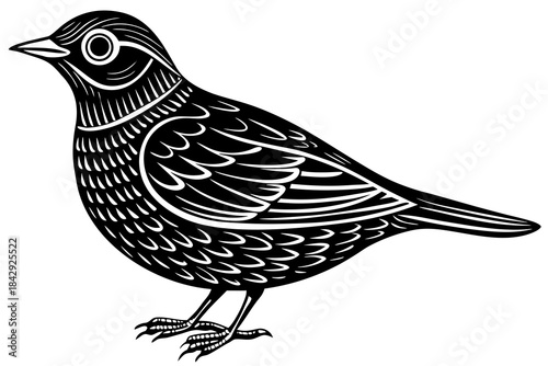 Aurelia bird linocut art white background 