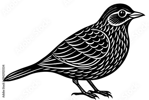 Aurelia bird linocut art white background 