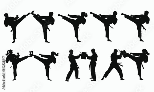 Dynamic silhouettes of martial artists performing various kicks and fighting stances
