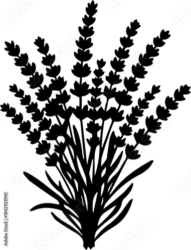 Stunning lavender bouquet, elegant floral design element for invitations, branding, and product packaging. Delicate botanical illustration with timeless appeal