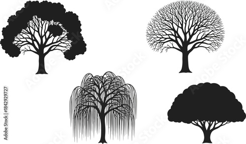 Four distinct tree silhouettes in black and white showcasing varied forms