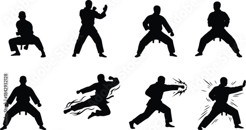 Dynamic martial arts silhouettes in action poses showcasing combat techniques, energy bursts, and motion effects for sports, fitness, and design themes.